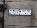 No dogs allowed on the city walls